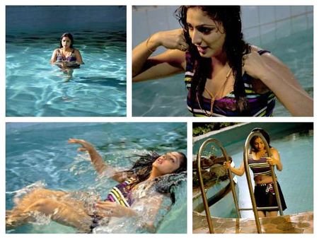 ಕೂದಲೆಳೆಯ ಅಂತರದಲ್ಲಿ ಪಾರಾದ ನಟಿ ಹರಿಪ್ರಿಯಾ