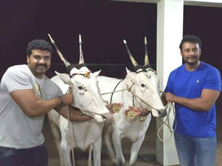 ಚಾಲೆಂಜಿಂಗ್ ಸ್ಟಾರ್ ಗಜ ಮತ್ತು ಟಾಕಿಂಗ್ ಸ್ಟಾರ್ ಸುಜ!