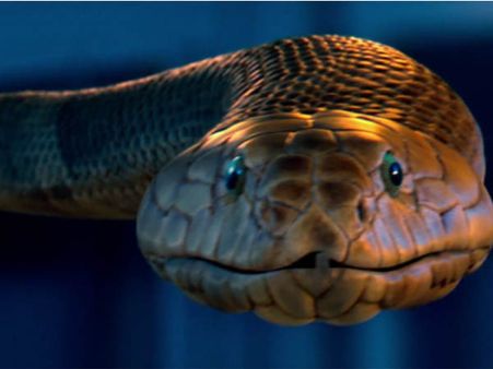 ಸೆನ್ಸಾರ್ ನಲ್ಲಿ 'ನಾಗರಹಾವು' ಪ್ರತ್ಯಕ್ಷ: ಸದ್ಯದಲ್ಲೇ 'ನಾಗರಾಜ'ನ ದರ್ಶನ