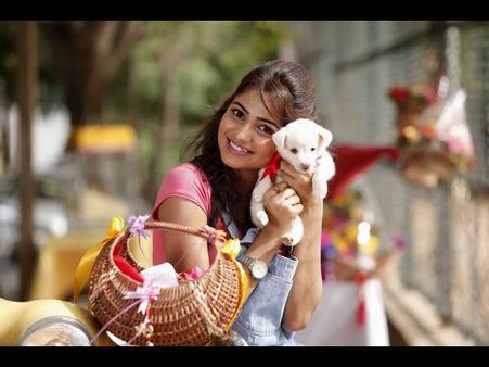 'ಡಿಂಪಲ್ ಕ್ವೀನ್' ರಚಿತಾ ರಾಮ್ ಕಡೆಯಿಂದ ಬಂದ ಸ್ಪೆಷಲ್ ನ್ಯೂಸ್