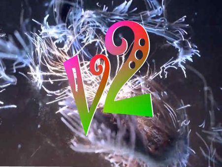 ಇದು ಇಬ್ಬರೇ ನಟಿಸಿ, ಚಿತ್ರೀಕರಿಸಿದ ಸಿನಿಮಾ!!