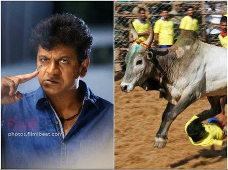 'ಗೂಳಿ' ಪಳಗಿಸಲಿದ್ದಾರಂತೆ ಸೆಂಚುರಿ ಸ್ಟಾರ್ ಶಿವರಾಜ್ ಕುಮಾರ್!