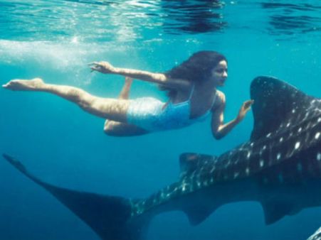 ಅಬ್ಬಾ.....ತಿಮಿಂಗಿಲ ಜೊತೆ ಕತ್ರಿನಾ ಕೈಫ್ ಸ್ವಿಮಿಂಗ್, ವಿಡಿಯೋ ನೋಡಿ