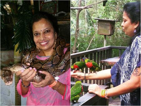 ಚಿತ್ರಗಳು: ಜಗ್ಗೇಶ್ ಪತ್ನಿ ಪರಿಮಳ'ರ ಪ್ರಾಣಿ-ಪಕ್ಷಿ ಪ್ರೀತಿ ಹೇಗಿದೆ ಒಮ್ಮೆ ನೋಡಿ..