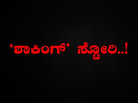 ಈ ಸ್ಟೋರಿ ನೋಡಿದರೆ ಖಂಡಿತ 'ಶಾಕ್' ಆಗ್ತೀರಾ..!