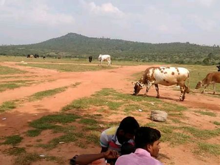 ಮೈಸೂರಿನಲ್ಲಿ ಫಿಲ್ಮ್ ಸಿಟಿಯೂ ಶುರುವಾಗಿಲ್ಲ, ಇತ್ತ ವ್ಯವಸಾಯವೂ ಇಲ್ಲ.!