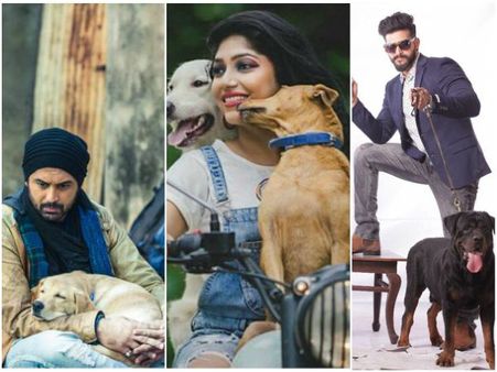 ಕನ್ನಡದ ಈ ಹೊಸ ಸಿನಿಮಾಗಳಲ್ಲಿ ಹೆಚ್ಚಾಗುತ್ತಿದೆ ಶ್ವಾನ ಪ್ರೇಮ