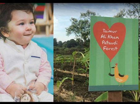 ಸೈಫ್-ಕರೀನಾ ಮಗನ ಬರ್ತಡೇಗೆ ಅರಣ್ಯವನ್ನೇ ಗಿಫ್ಟ್ ಕೊಟ್ಟ ವ್ಯಕ್ತಿ