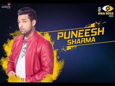 'ಬಿಗ್ ಬಾಸ್' ಗ್ರ್ಯಾಂಡ್ ಫಿನಾಲೆಗೆ ಲಗ್ಗೆ ಇಟ್ಟಿರುವ ಕಾಮನ್ ಮ್ಯಾನ್ ಪುನೀಶ್ ಹಿನ್ನಲೆ ಏನು.?