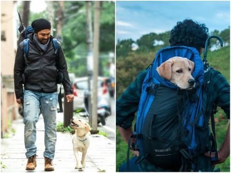 '777 ಚಾರ್ಲಿ' ಸಿನಿಮಾದಿಂದ ಔಟ್ ಆದ ಅರವಿಂದ್ ಅಯ್ಯರ್