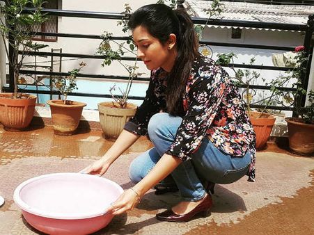 ಪಕ್ಷಿಗಳ ಕಾಳಜಿಗೆ ಮುಂದಾದ ಯಶ್ ಮಡದಿ ರಾಧಿಕಾ