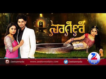 ಹೊಸ ಮೈಲಿಗಲ್ಲು ಸೃಷ್ಟಿ ಮಾಡಿದ 'ನಾಗಿಣಿ' ಧಾರಾವಾಹಿ