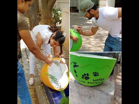 ಮನಸಾರೆ ಜೋಡಿಗೆ ಶುರುವಾಯ್ತು ಪ್ರಾಣಿ ಕಾಳಜಿ