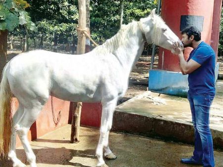 ಅರಣ್ಯ ರಕ್ಷಣೆಗೆ ಮುಂದಾದ ಚಾಲೆಂಜಿಂಗ್ ಸ್ಟಾರ್ ದರ್ಶನ್