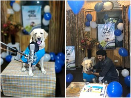 ತಾನು ಅಭಿನಯಿಸಿದ ಪಾತ್ರಕ್ಕೆ ತಾನೇ ಡಬ್ ಮಾಡುತ್ತಿದೆ ಈ ಶ್ವಾನ