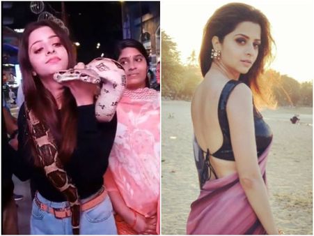 ವಿಡಿಯೋ: ಹೆಬ್ಬಾವಿನ ಸಂಗ ಮಾಡಿದ 'ಹೋಮ್ ಮಿನಿಸ್ಟರ್' ವೇದಿಕಾ