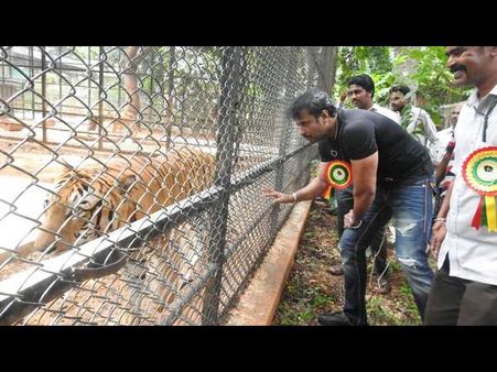 ಚಾಲೆಂಜಿಂಗ್ ಸ್ಟಾರ್ ದರ್ಶನ್ ಕರೆದರೆ ಓಡೋಡಿ ಬರುವ ದತ್ತು‌ ಮಗ