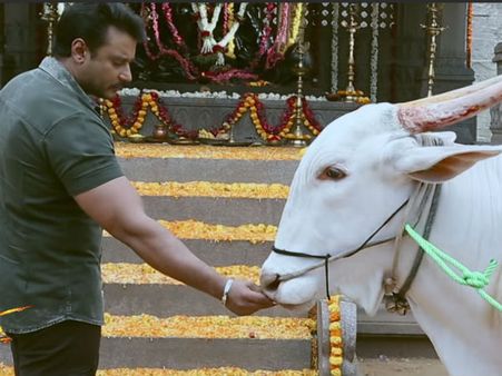 ಯಜಮಾನ ಚಿತ್ರದಲ್ಲಿ ನಟಿಸಿದೆ ದರ್ಶನ್ ಹಸು, ಅದರ ಹೆಸರೇನು?