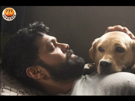 ಮಾನಸ ಗಂಗೋತ್ರಿ ಕ್ಯಾಂಪಸ್ ನಲ್ಲಿ 'ಚಾರ್ಲಿ' ಜೊತೆ ರಕ್ಷಿತ್ ಶೆಟ್ಟಿ