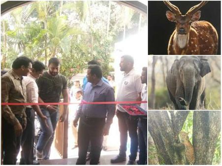 ದರ್ಶನ್ ಸೆರೆಹಿಡಿದ ವನ್ಯಜೀವಿ ಛಾಯಾಚಿತ್ರ ಪ್ರದರ್ಶನಕ್ಕೆ ಚಾಲನೆ