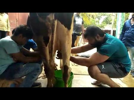 ಮಗನಿಗೆ ಹಸುವಿನ ಹಾಲು ಕರೆಯುವುದನ್ನು ಹೇಳಿಕೊಟ್ಟ ದರ್ಶನ್