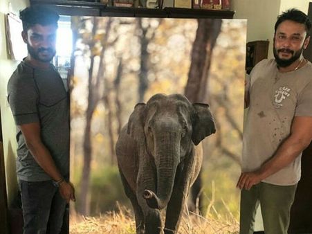 ದರ್ಶನ್ ಸೆರೆಹಿಡಿದ ಗಜನಿಗೆ ಚಿಕ್ಕಣ್ಣ ಕೊಟ್ಟ ಬೆಲೆ ಎಷ್ಟು ಗೊತ್ತಾ?