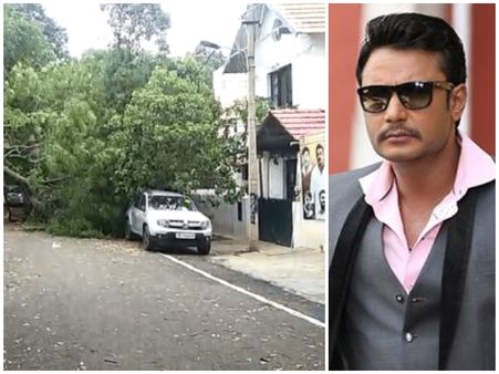 ದರ್ಶನ್ ಮನೆ ಮುಂದೆ ಬಿದ್ದ ಮರ : ಮೂರು ದಿನವಾದ್ರು ತೆರವುಗೊಳಿಸದ ಬಿಬಿಎಂಪಿ