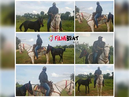 ಬಿಳಿ ಗಜೇಂದ್ರನ ಮೇಲೇರಿ ಚಾಲೆಂಜಿಂಗ್ ಸ್ಟಾರ್ ದರ್ಶನ್ ಸವಾರಿ