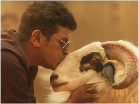 ಪಿ ಆರ್ ಕೆ ಆಡಿಯೋದಲ್ಲಿ ಅತಿ ವೀಕ್ಷಣೆ ಪಡೆದ ಹಾಡು 'ಟಗರು ಬಂತು ಟಗರು'