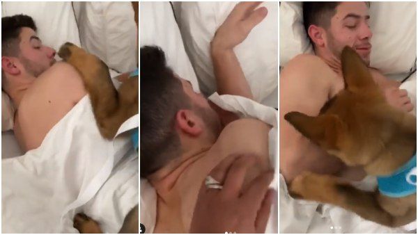 ನಿದ್ರೆಯಲ್ಲಿದ್ದ ಪತಿಗೆ ಸರ್ಪೈಸ್ ಕೊಟ್ಟ ಪ್ರಿಯಾಂಕಾ: ಬೆಚ್ಚಿಬಿದ್ದ ನಿಕ್ ಜೋನಸ್