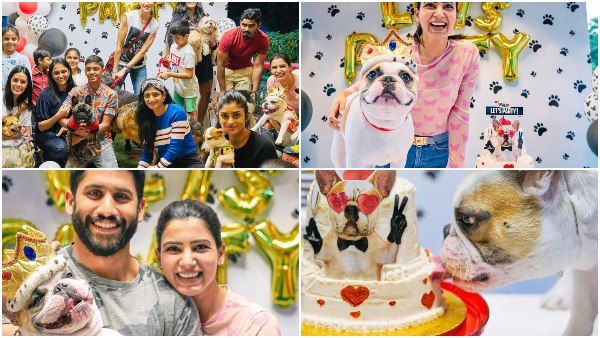 ನಾಯಿ ಹುಟ್ಟುಹಬ್ಬವನ್ನು ಅದ್ದೂರಿಯಾಗಿ ಆಚರಿಸಿದ ನಟಿ ಸಮಂತಾ