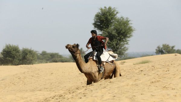 ರಾಜಸ್ಥಾನದ ಮರಳುಗಾಡಿನಲ್ಲಿ ಒಂಟೆ ಮೇಲೆ ತ್ರಿ'ವಿಕ್ರಮ್' ಮೈನವಿರೇಳಿಸುವ ಸಾಹಸ.!