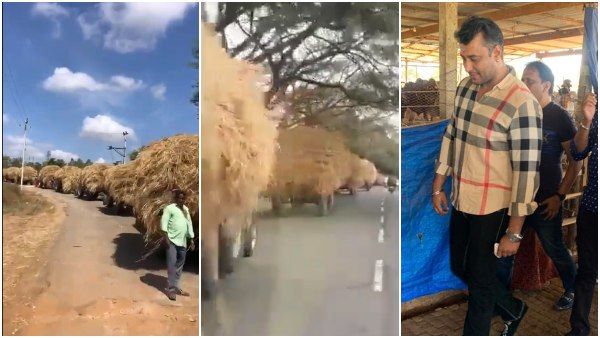 ಸಾಲು ಸಾಲು ಟ್ರ್ಯಾಕ್ಟರ್ ಗಳಲ್ಲಿ ಗೋಶಾಲೆಗೆ ಅನುದಾನ ಸಾಗಿಸಿದ ದರ್ಶನ್: ವಿಡಿಯೋ ವೈರಲ್