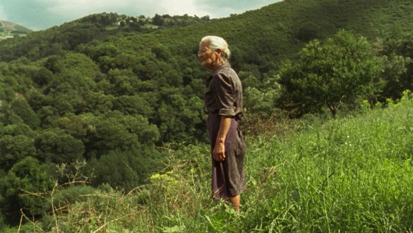 ಹಚ್ಚ ಹಸಿರಿನ ಕ್ಯಾನ್ವಾಸ್‌ ಒಳಗೆ ಬೆಂಕಿಯ ನರ್ತನ