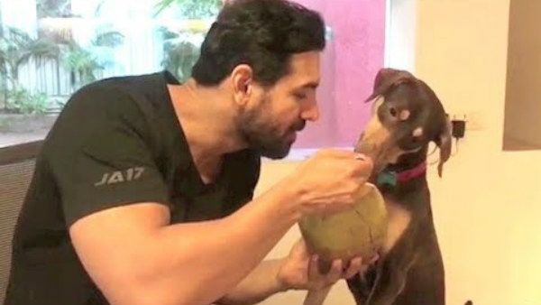 ಬಾಲಿವುಡ್ ನಟನ ಕ್ಷಮೆ ಕೇಳಿದ ಮುಂಬೈ ಮಹಾನಗರ ಪಾಲಿಕೆ