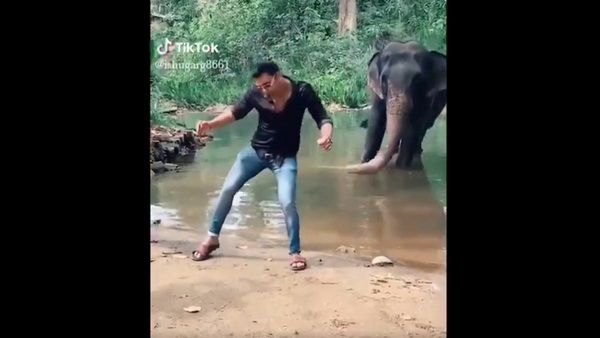 'ಬುಟ್ಟ ಬೊಮ್ಮಾ' ಹಾಡಿಗೆ ಆನೆ ಜತೆ ಟಿಕ್ ಟಾಕ್ ಮಾಡಿದ ಅಲ್ಲು ಅರ್ಜುನ್ ಅಭಿಮಾನಿ: ವಿಡಿಯೋ ವೈರಲ್