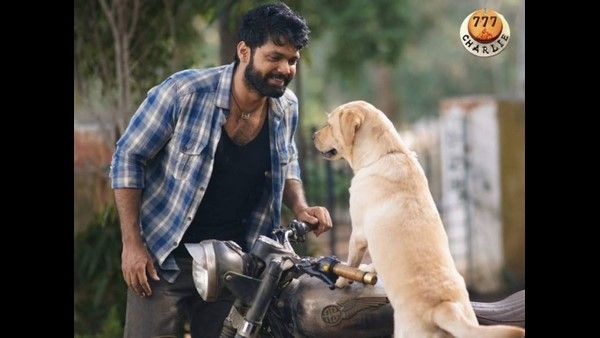 ನಾನೆಲ್ಲೂ ತಲೆ ಮರೆಸಿಕೊಂಡಿಲ್ಲ; ಪಂಜಾಬ್ ಶೂಟಿಂಗ್ ಮುಗಿಸಿ ಬರಲಿದ್ದೇನೆ: ರಕ್ಷಿತ್ ಶೆಟ್ಟಿ