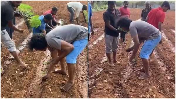 ರೈತನಾದ ನಟ ಉಪೇಂದ್ರ: ಹೊಲದಲ್ಲಿ ಕೆಲಸ ಮಾಡುತ್ತಿದ್ದಾರೆ ರಿಯಲ್ ಸ್ಟಾರ್