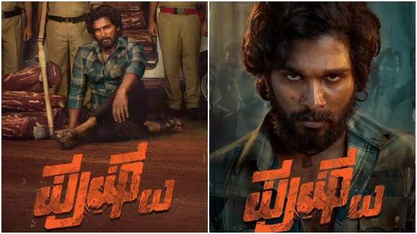 ಅಲ್ಲು ಅರ್ಜುನ್ 'ಪುಷ್ಪ' ಸಿನಿಮಾದಲ್ಲಿ ದಕ್ಷಿಣ ಭಾರತದ ಖ್ಯಾತ ನಿರೂಪಕಿ?