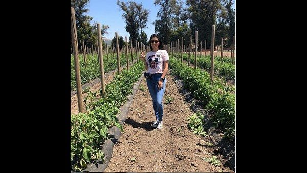 ಗಂಡನ ಜತೆ ಹೊಲಕ್ಕೆ ತೆರಳಿದ ಸನ್ನಿ ಲಿಯೋನ್: ಭೂತಾಯಿಯಿಂದ ತರಕಾರಿ ಪಡೆದ ಖುಷಿ ಹಂಚಿಕೊಂಡ ನಟಿ