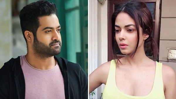 ಎನ್‌ಟಿಆರ್ ಅಭಿಮಾನಿಗಳ ವಿರುದ್ಧ ಸಿಎಂ ಗೆ ದೂರು ನೀಡಿದ ನಟಿ