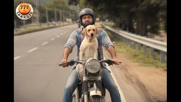 ರಕ್ಷಿತ್ ಶೆಟ್ಟಿ ಜನ್ಮದಿನಕ್ಕೆ 'ಚಾರ್ಲಿ' ನೀಡಲಿದೆ ವಿಶೇಷ ಉಡುಗೊರೆ