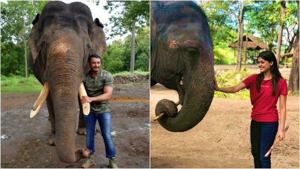 'ವಿಶ್ವ ಆನೆ ದಿನ': ಪ್ರತಿಜ್ಞೆ ಮಾಡಿದ ದರ್ಶನ್, ಮನವಿ ಮಾಡಿದ ಆಶಾ ಭಟ್