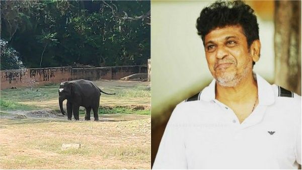 ಗಣೇಶ ಹಬ್ಬದಂದು 'ಪಾರ್ವತಿ' ದತ್ತು ಪಡೆದ ನಟ ಶಿವರಾಜ್ ಕುಮಾರ್