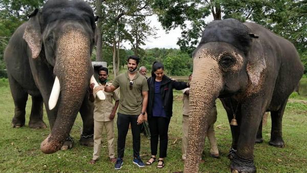 ಅಂಬಾರಿ ಹೊರುವ 'ಅರ್ಜುನ'ನನ್ನು ಭೇಟಿ ಮಾಡಿದ ನಿಖಿಲ್ ಕುಮಾರ್ ದಂಪತಿ