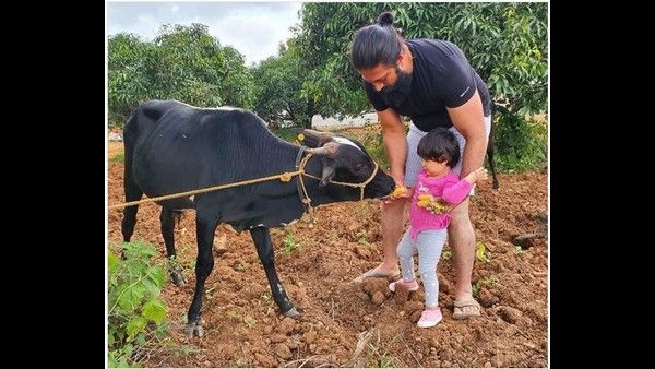 ಫಾರ್ಮ್ ಹೌಸ್ ನಲ್ಲಿ ರಾಕಿಂಗ್ ದಂಪತಿಯ ಮುದ್ದು ಮಗಳ ಜಾಲಿ