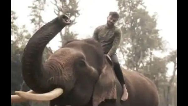 ನಟ ಧನ್ವೀರ್ ಗೆ ಮತ್ತೊಂದು ಸಂಕಷ್ಟ: ಆನೆ ಏರಿದ್ದಕ್ಕೆ ಎಫ್‌ಐಆರ್