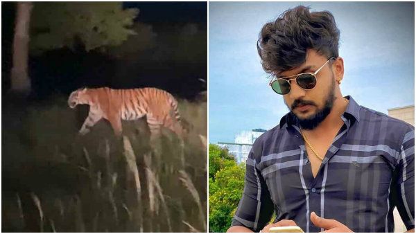 ಬಂಡೀಪುರದಲ್ಲಿ ನಟ ಧನ್ವಿರ್ ನೈಟ್ ಸಫಾರಿ: ಅರಣ್ಯಾಧಿಕಾರಿ ಹೇಳಿದ್ದು ಏನು?