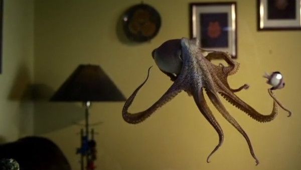 ಪ್ರತಿಷ್ಠಿತ ಜಾಕ್‌ಸನ್ ವನ್ಯಜೀವಿ ಮಾಧ್ಯಮ ಪ್ರಶಸ್ತಿ ಪ್ರಕಟ