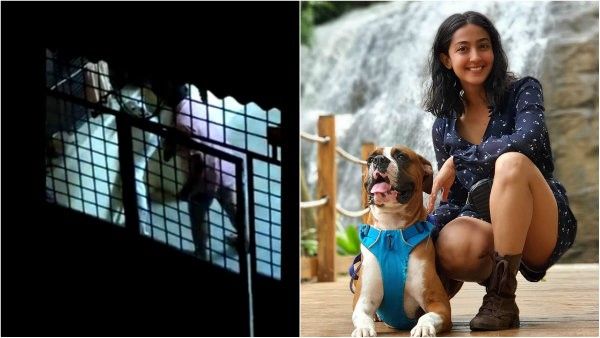 ಶ್ವಾನದ ಮೇಲೆ ಹಲ್ಲೆ ಮಾಡಿದ ವ್ಯಕ್ತಿ: ಖಂಡಿಸಿದ ನಟಿ ಐಂದ್ರಿತಾ ರೇ